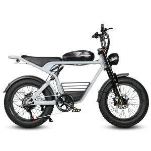 SAMEBIKE M20 48V 16AH moto elettrica 1000W alta potenza-1