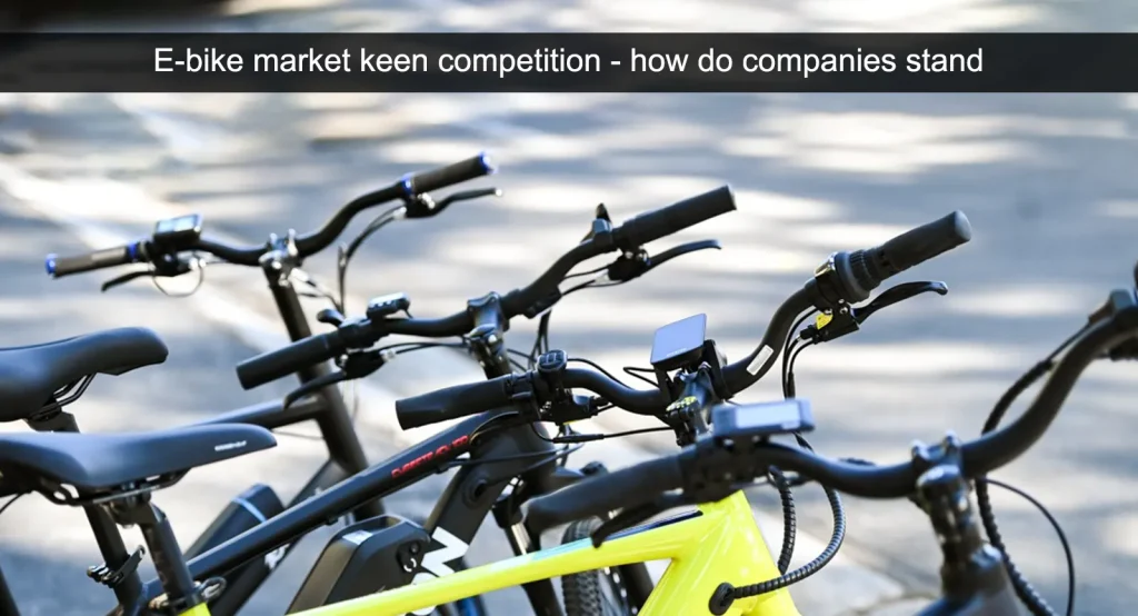 Competencia en el mercado de las bicicletas eléctricas: ¿cuál es la situación de las empresas?