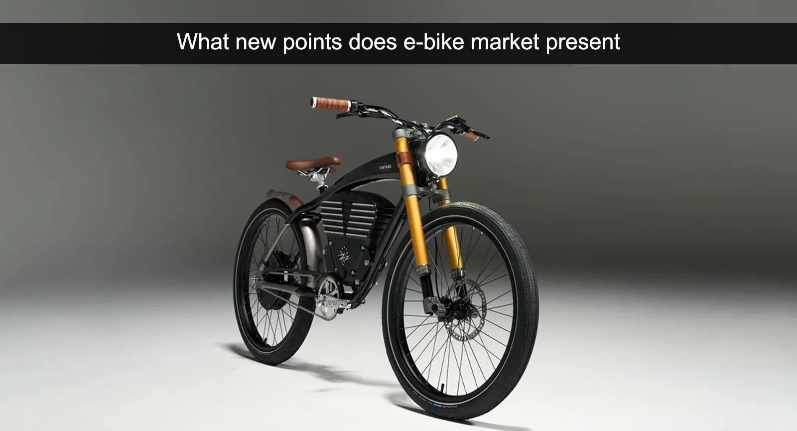 Hvilke nye punkter præsenterer markedet for elcykler?