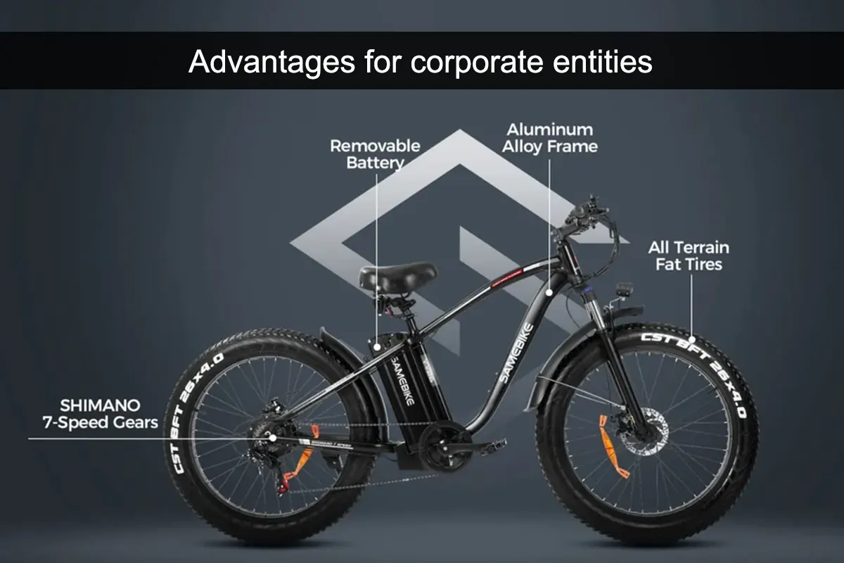 Bicicletta Elettrica 1000W Mountain Bike Da Uomo Bici Da Neve - Foto 13