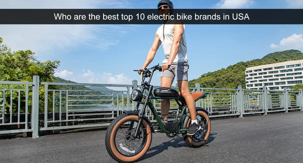 Hvem er de bedste top 10 elektriske cykelmærker i USA?