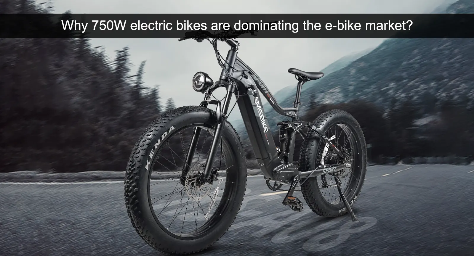 Warum 750W-Elektrofahrräder den E-Bike-Markt dominieren