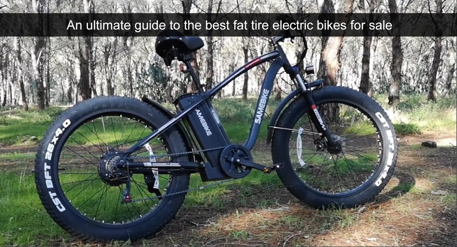 Un guide ultime des meilleurs vélos électriques à pneus larges à vendre