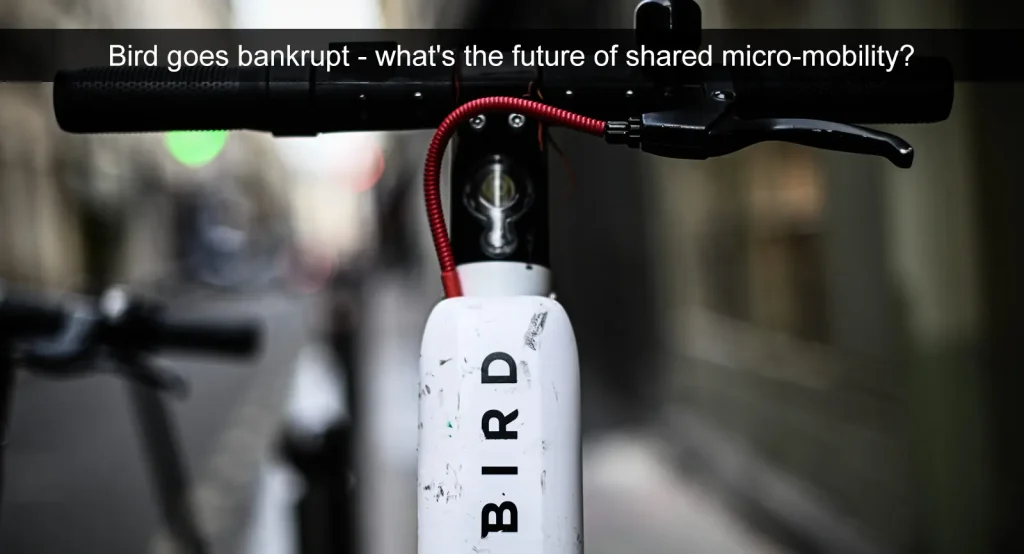 Bird quiebra: ¿cuál es el futuro de la micromovilidad compartida?
