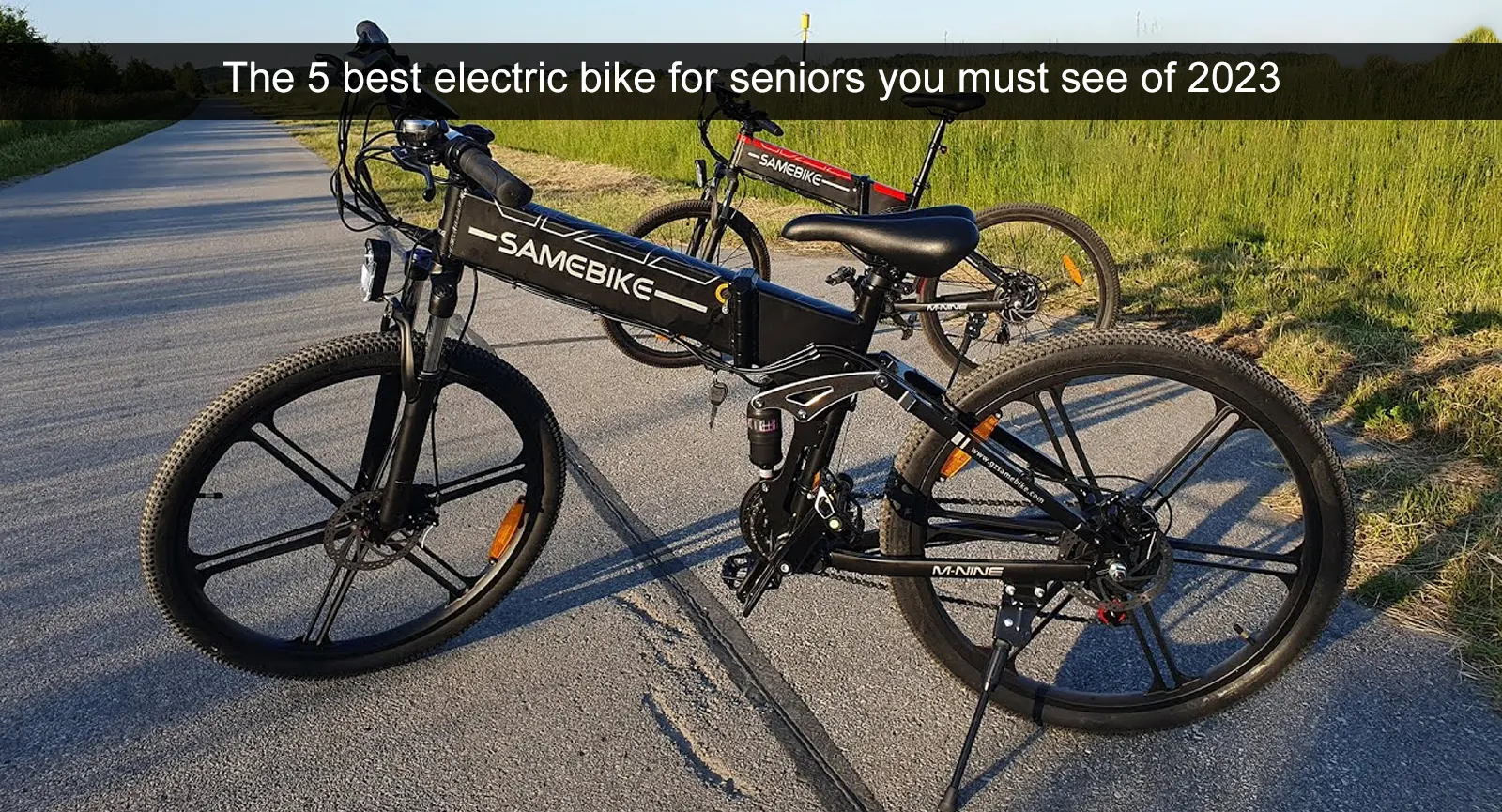 The 5 best electric bike for seniors you must see of 2023