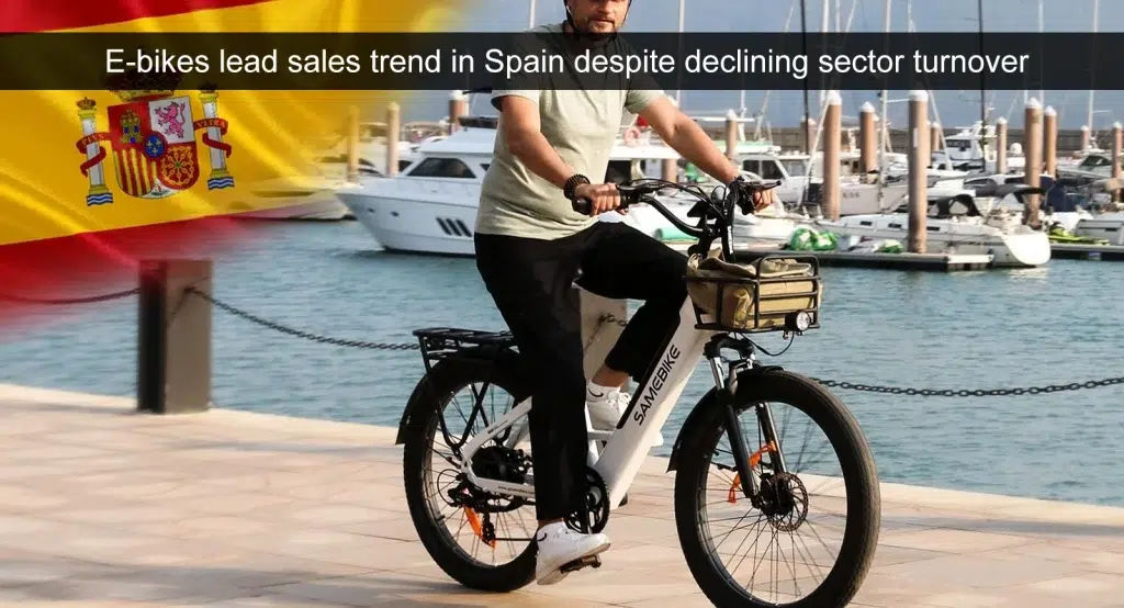 E-Bikes führen den Verkaufstrend in Spanien trotz rückläufiger Umsätze der Branche an