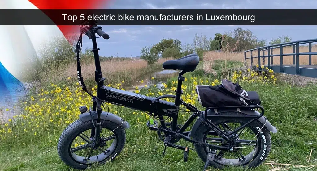 Top 5 fabrikanten van elektrische fietsen in Luxemburg